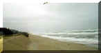 Beach View North